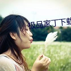 极品(pǐn)家丁下载