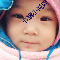 书(書)旗小(小)说网