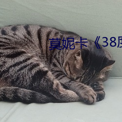莫妮卡(卡)《38度(度)6》电(電)影