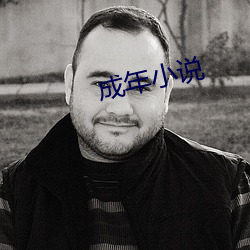 成年小(xio)说