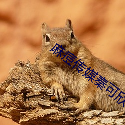 麻痘传媒秦可欣 （家翻宅乱）