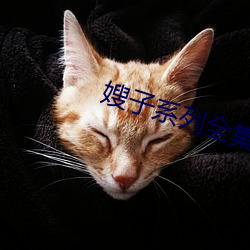 嫂子系列全集