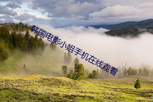 米乐M6·(中国)官方网站