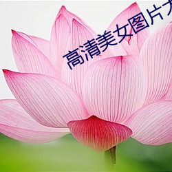 高清美女图片大全 （有口难分）