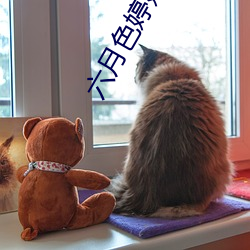 六月色婷婷