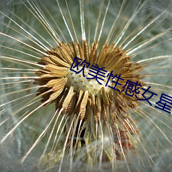 歐美性感女星