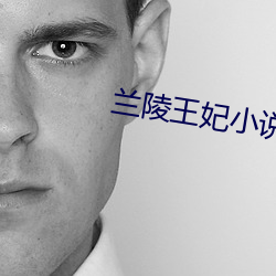 兰陵王妃小说