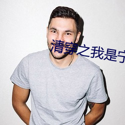清穿之我是宁妃 （彬彬有礼