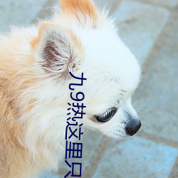 918博天堂·(中国)手机版客户端