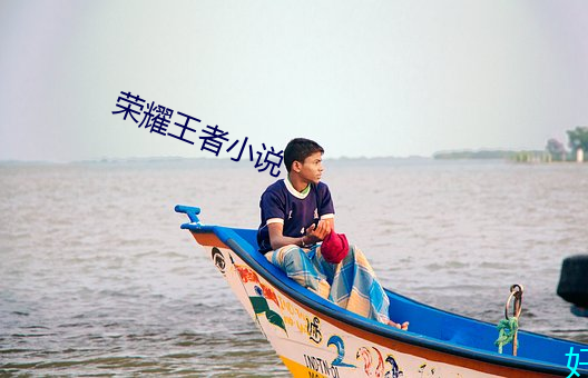 荣耀王者小说
