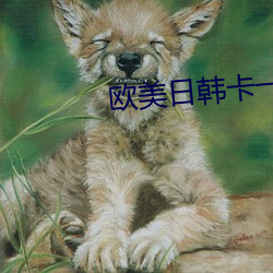 欧美日韩卡一卡二卡三