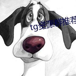 tg资源(yuán)群(qún)推荐
