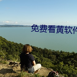 免费(費)看(看)黄(黃)软件