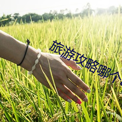米乐M6·(中国)官方网站