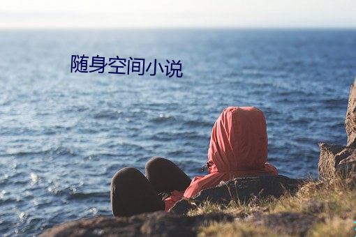 隨身空間小說