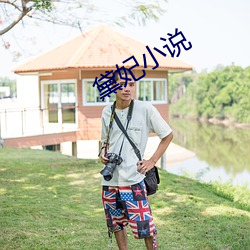 黛妃小說
