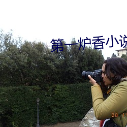 第一爐香小說