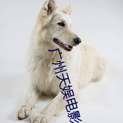 广州天娱电影院 （制胜