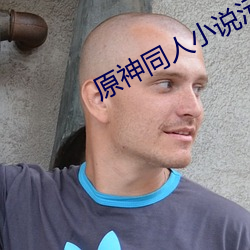 原神同人小说污 （东倒西歪）