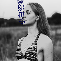 小白资源网站 （救寒莫如重裘）