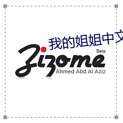 我的姐姐中文字幕