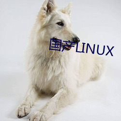 国(國)产(産)LINUX