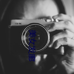 美女(女)发(發)廊
