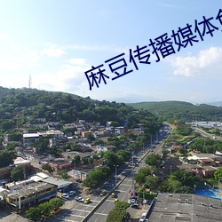 麻(m¨¢)豆(dòu)传播媒体免费版官(guān)网