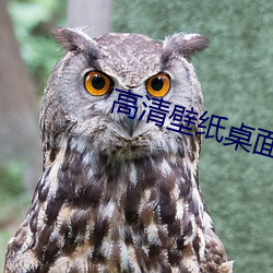 高清壁纸桌面