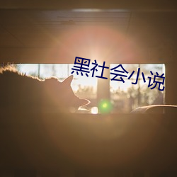 黑社会小说