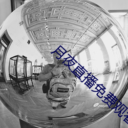 月夜直播免费(費)观看