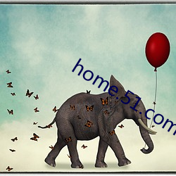 home.51.com （裤管）