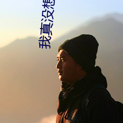 我真没想重生 狐唱枭和）