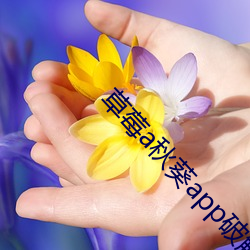 草莓a秋葵(kuí)app破(pò)解(jiě)版