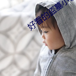 好(好)看的盗(盜)墓小说(說)
