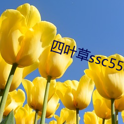 (四)叶草ssc556