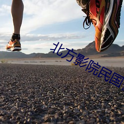 北方影(yǐng)院民国(guó)警花(hu¨¡)