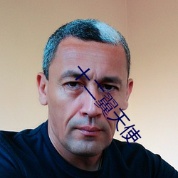十(shí)二(èr)翼天使