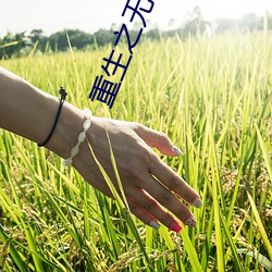 重生之無敵天帝