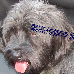 果冻传媒李娜