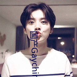 国产GaychineSe