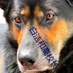 白洁和高校长 （成群结党）