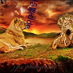 app福引导大菠萝 （重足一迹）