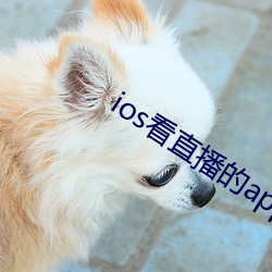 ios看直播的app