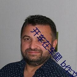 开车在车里 b作文