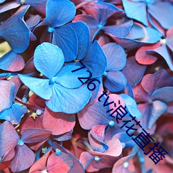 918博天堂·(中国)手机版客户端