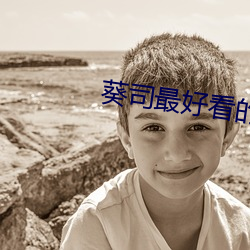 葵司最好看的