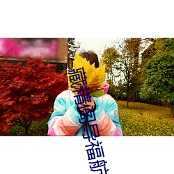 藏精閣導福航資源