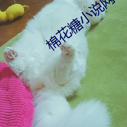棉花糖(糖)小说网