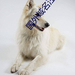 国外域名注册